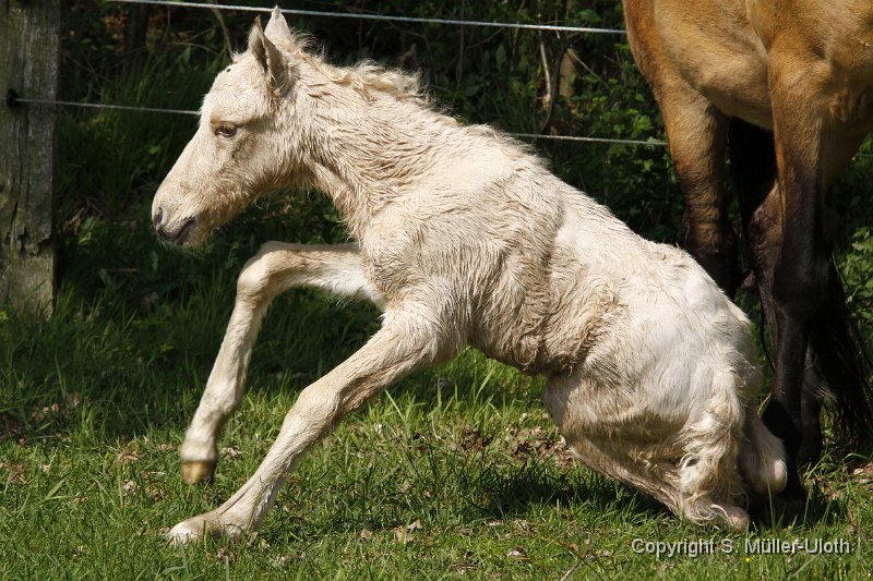 Hjoerdis 1 Stunde und 14 Min alt (3).JPG